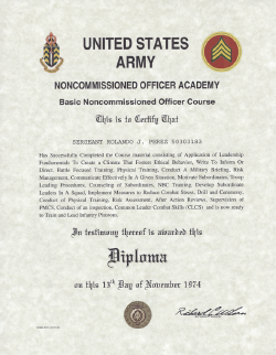 NCO-A-usa.png (908924 bytes)