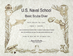 NV-Basic-diver.png (772276 bytes)